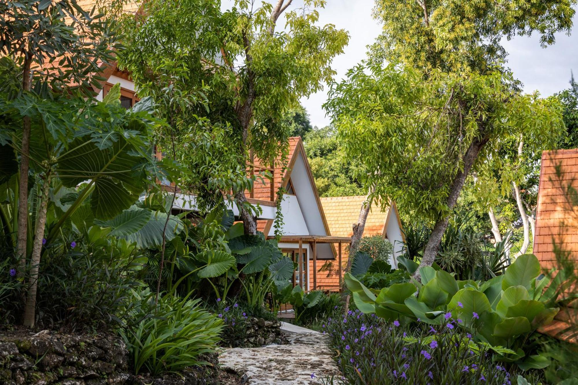 Deep Roots Dive & Yoga Resort Ped Εξωτερικό φωτογραφία